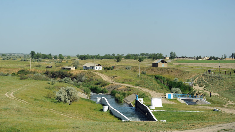 За 6 месяцев 2018 года сельхозпродукции выпущено на 55,6 млрд сомов, - статистика &mdash; Tazabek