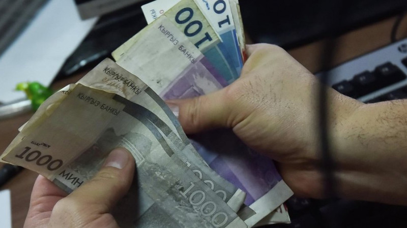 Наибольшую сумму кредитов в сельском хозяйстве выделяют животноводству - 2,8 млрд сомов &mdash; Tazabek