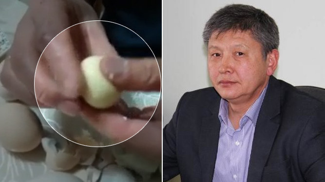 В связи с видео, распространившимся в интернете, депутат предложил маркировать яйца &mdash; Tazabek