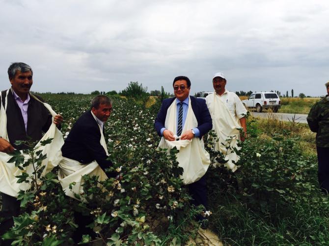 Минсельхоз: Дан старт уборке хлопка (фото) &mdash; Tazabek