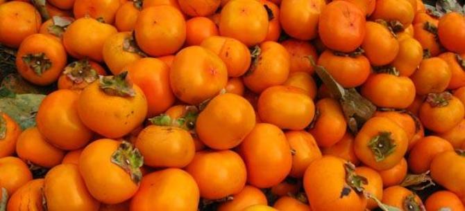 Оперативная таможня &laquo;Юг&raquo; выявила контрабанду более 20 тонн хурмы &mdash; Tazabek