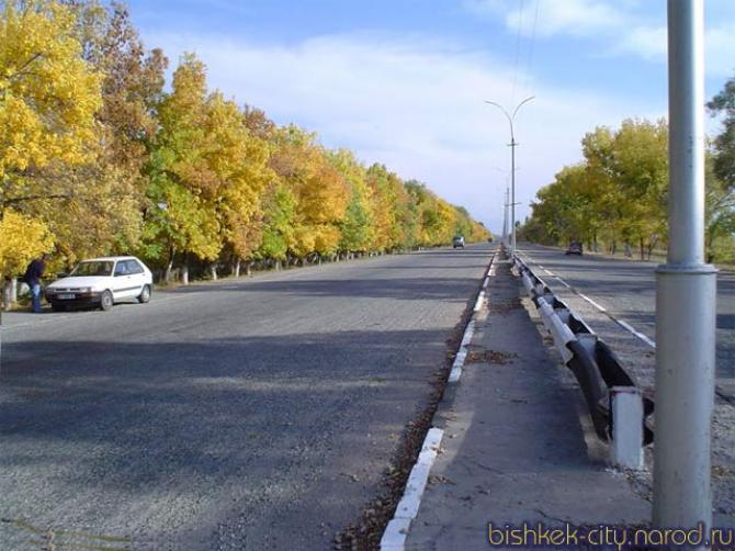 С 1 марта по 30 апреля на автодороге Бишкек&mdash;аэропорт &laquo;Манас&raquo; из-за ремонта будет отключено освещение &mdash; Tazabek