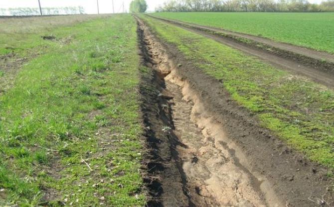 Правительство одобрило изменения в мораторий на перевод орошаемых земель в другие категории &mdash; Tazabek