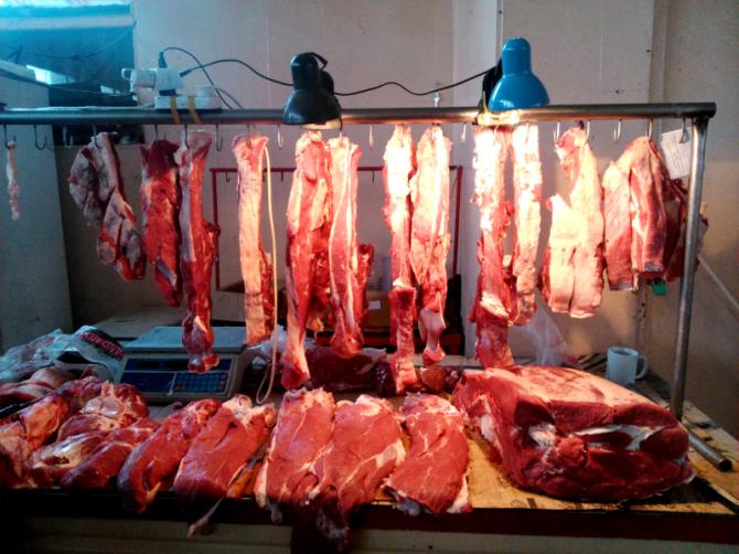 Госсанветинспекция предложила увеличить штрафы в сфере ветеринарной безопасности &mdash; Tazabek