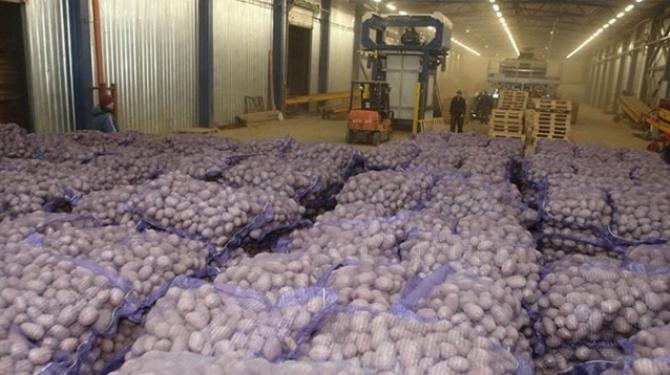 Владельцы алма-атинского рынка &laquo;Алтын-Орда&raquo; без оплаты за вход за каждый кг картофеля не допускают кыргызских фермеров на рынок, - Минсельхоз &mdash; Tazabek