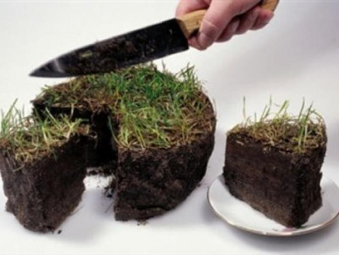 В I полугодии выявлено 110 случаев самовольного захвата земель, - Госэкотехинспекция &mdash; Tazabek