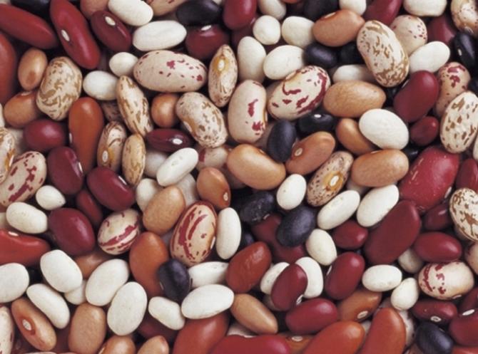 Основные экспортеры фасоли в Кыргызстане (список) &mdash; Tazabek