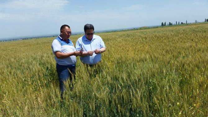 Подготовка к зиме идет полным ходом, - министр Т.Айдаралиев &mdash; Tazabek