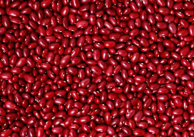 Минсельхоз Турции пообещал КР рассмотреть отмену 19,3% пошлины на импорт фасоли из Кыргызстана &mdash; Tazabek