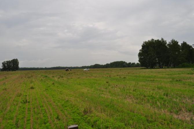 Минсельхоз предложил вне конкурса выдавать земли Госфонда сельхозугодий сельхозкооперативам &mdash; Tazabek