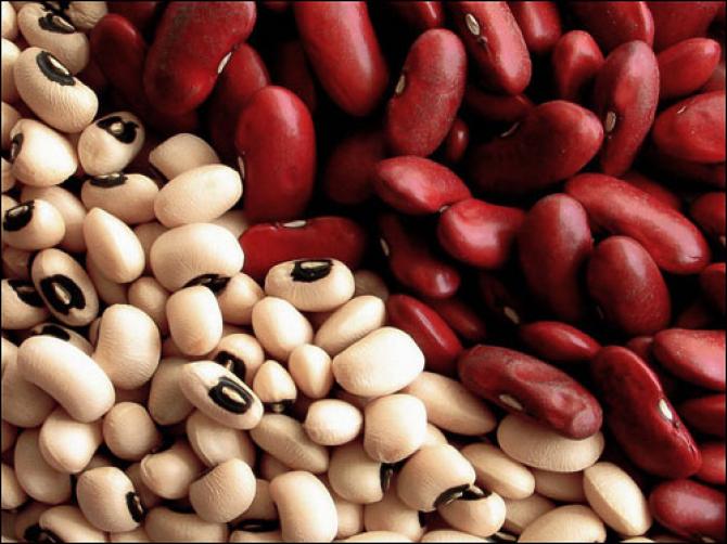 ГТС выявила контрабанду около 18 тонн фасоли &mdash; Tazabek