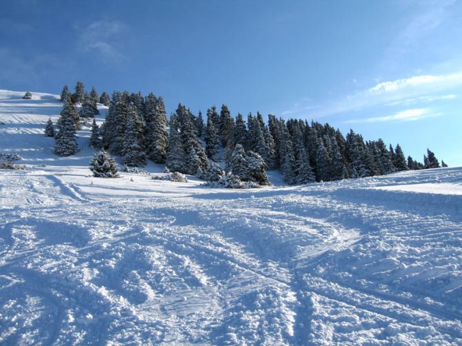 Туризм должен стать приоритетным направлением в экономике, - Т.Сариев &mdash; Tazabek