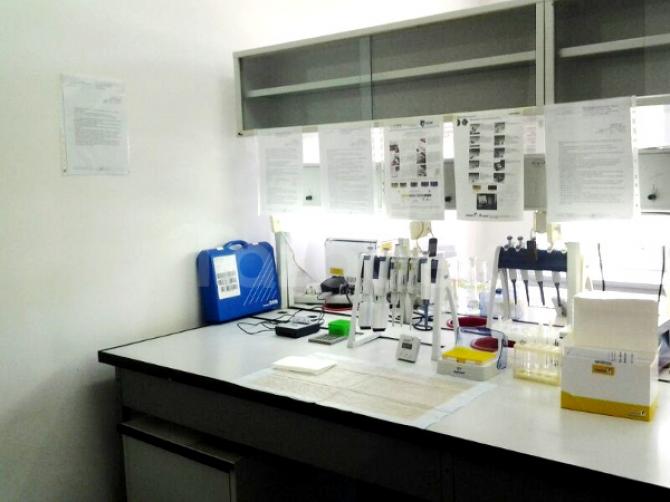 Республиканская ветлаборатория готова выдавать сертификаты на экспорт продукции, но пока нет решения ЕЭК &mdash; Tazabek