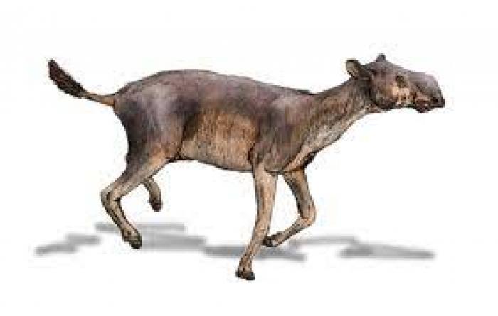 Фото прикрепленное к статье