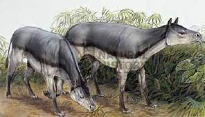 Фото прикрепленное к статье