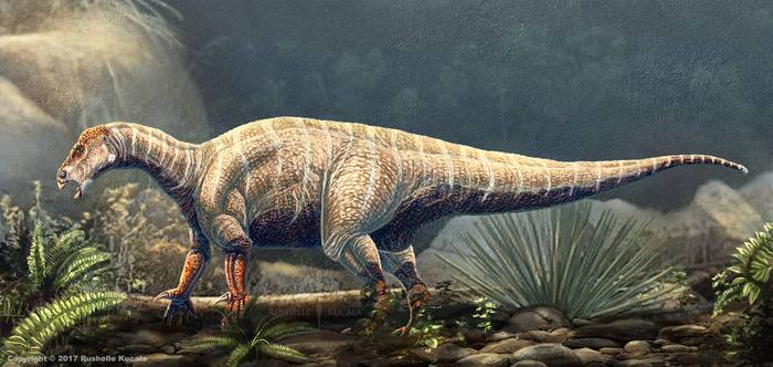 Фото прикрепленное к статье