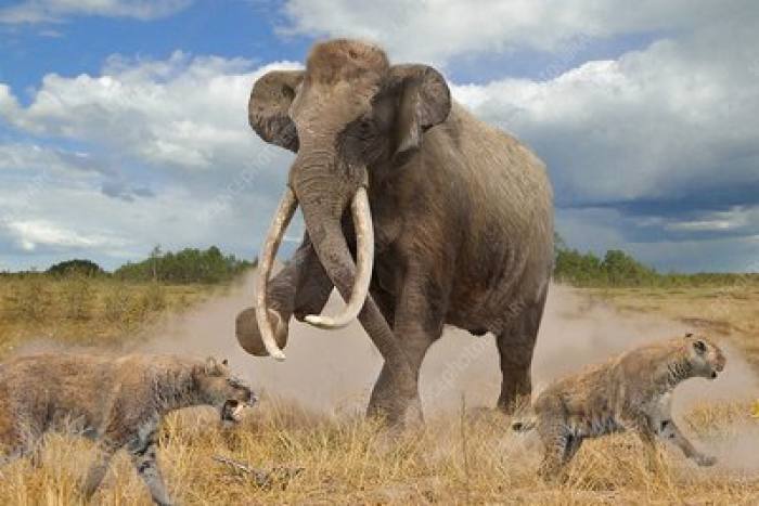 Фото прикрепленное к статье