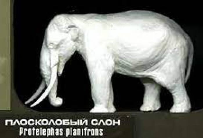 Фото прикрепленное к статье