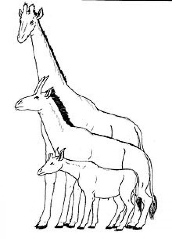 Фото прикрепленное к статье