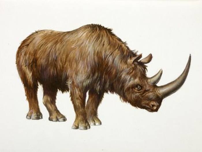 Фото прикрепленное к статье