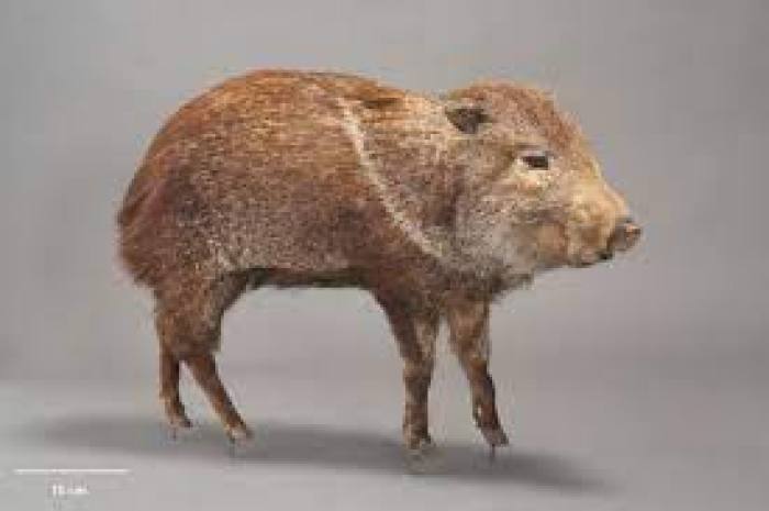 Фото прикрепленное к статье