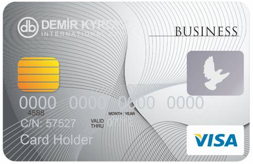 visa business