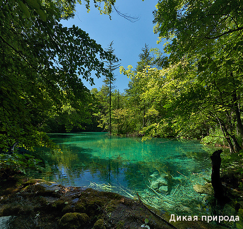 2859064048_fcf09cee431