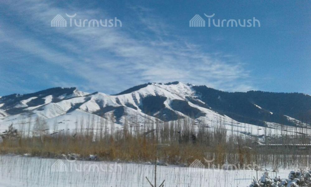 Аналарға арналған колготки порносы