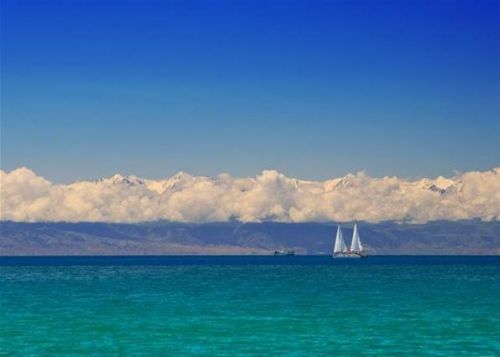 pict_ad1f7ad4089041c8bfc240e398a86c69