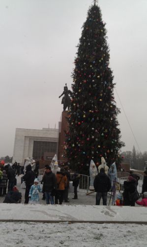 2013 год елка