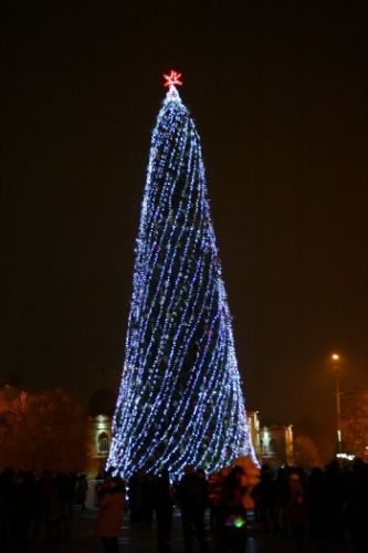 2011 год елка