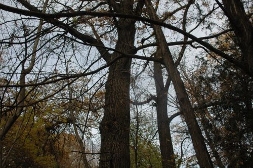 DSC_4871