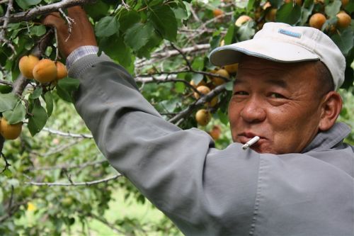 Kubanbaike