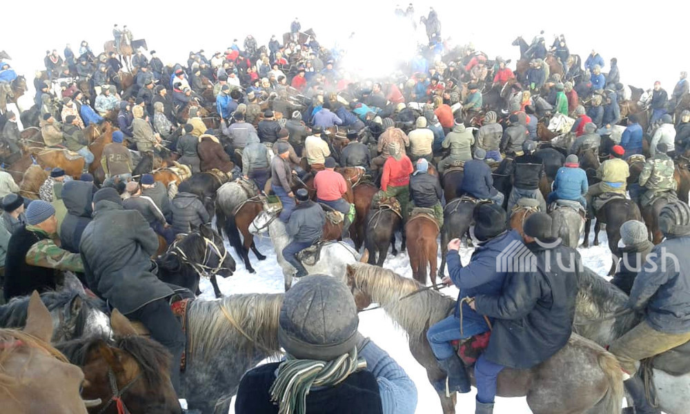 Алайдагы аламан улак