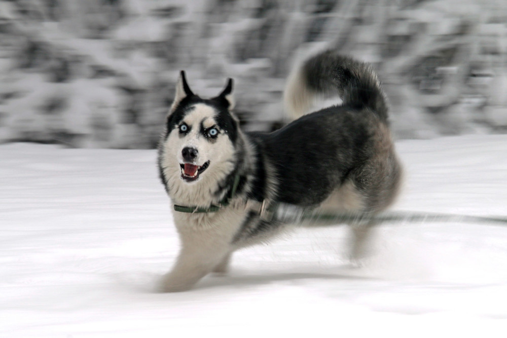 Иллюстративное фото