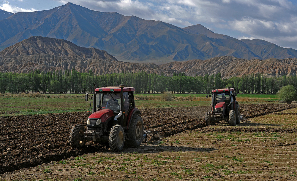 Сельхозработы