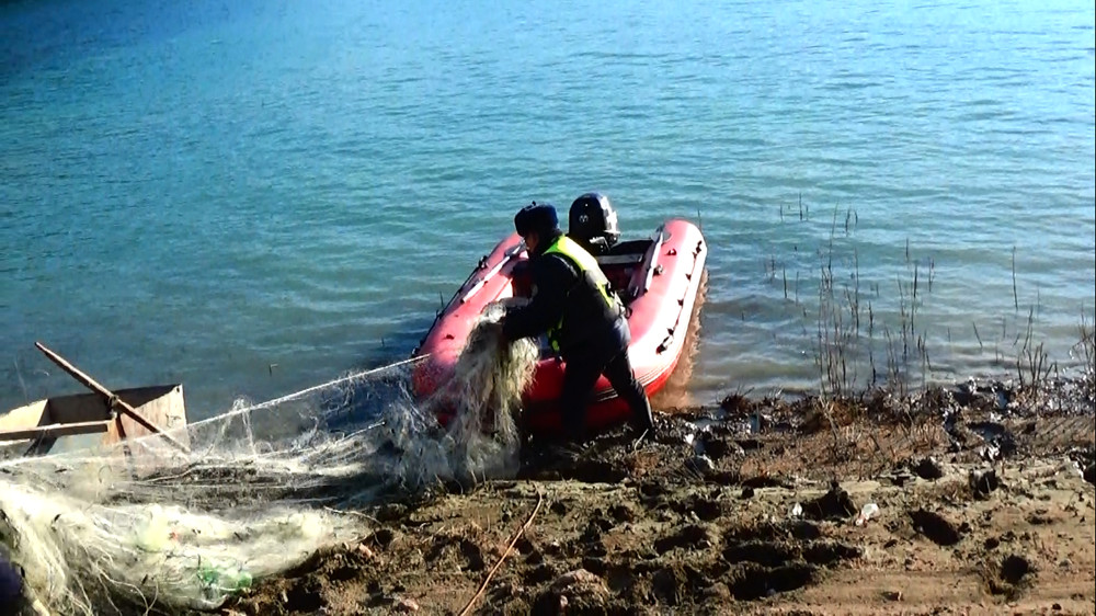 Иллюстративное фото