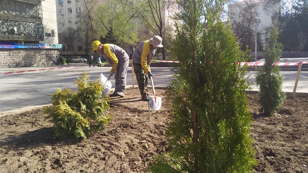 Жашылдандыруу иши