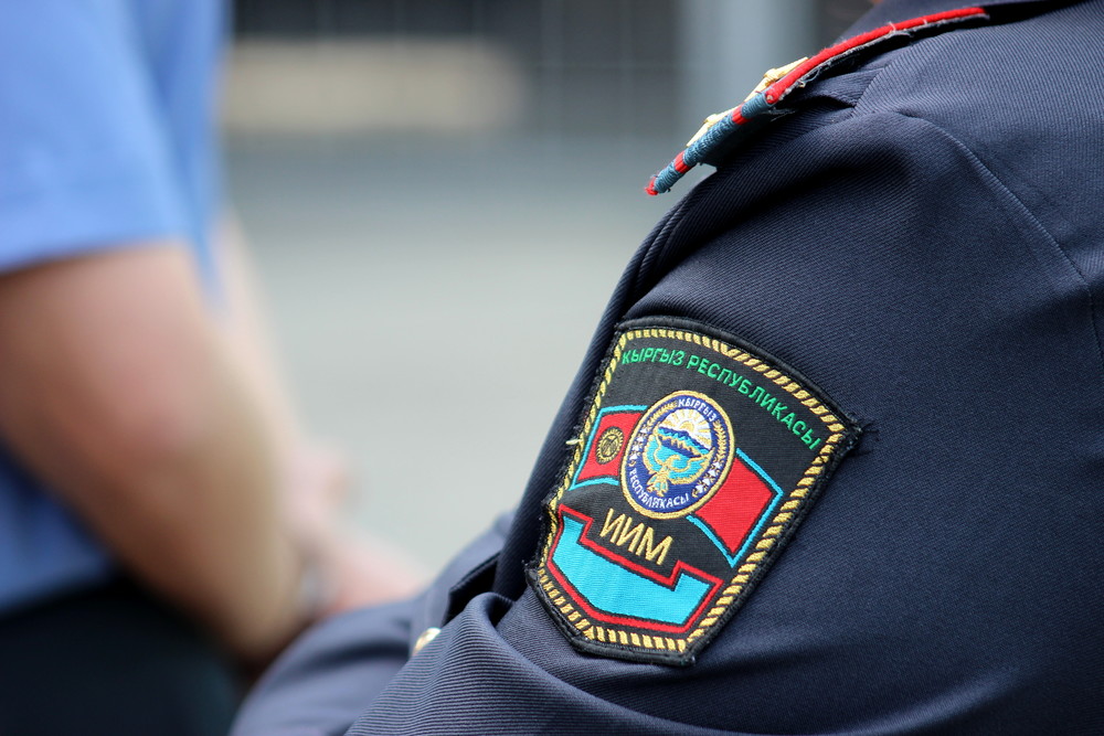 Иллюстрациялык сүрөт
