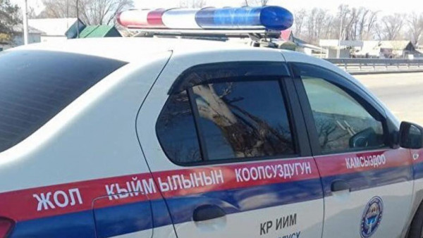 Иллюстрациялык сүрөт