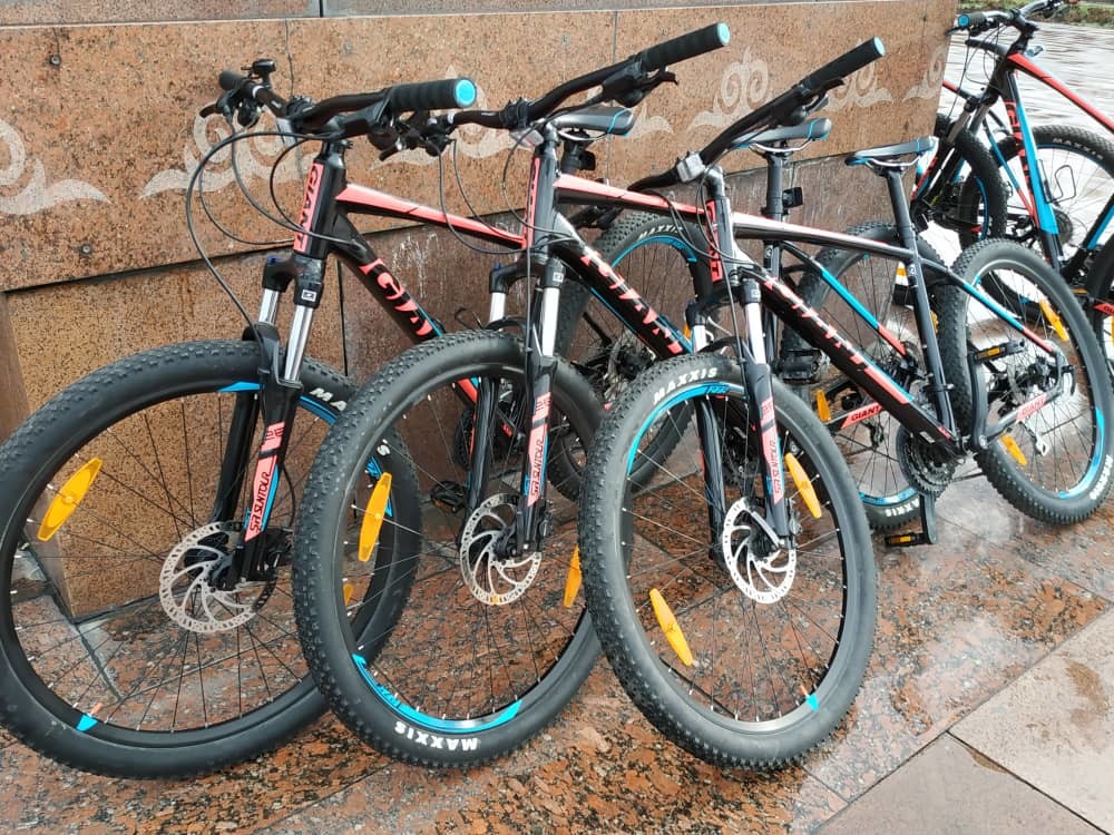 Иллюстрациялык сүрөт