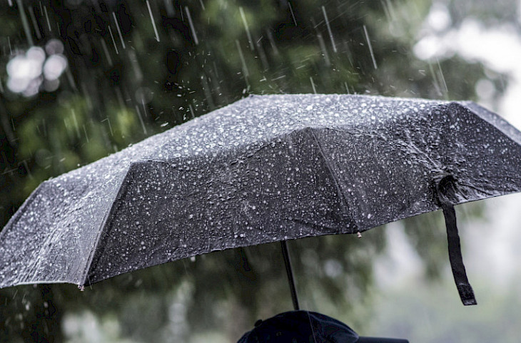 Иллюстрациялык сүрөт