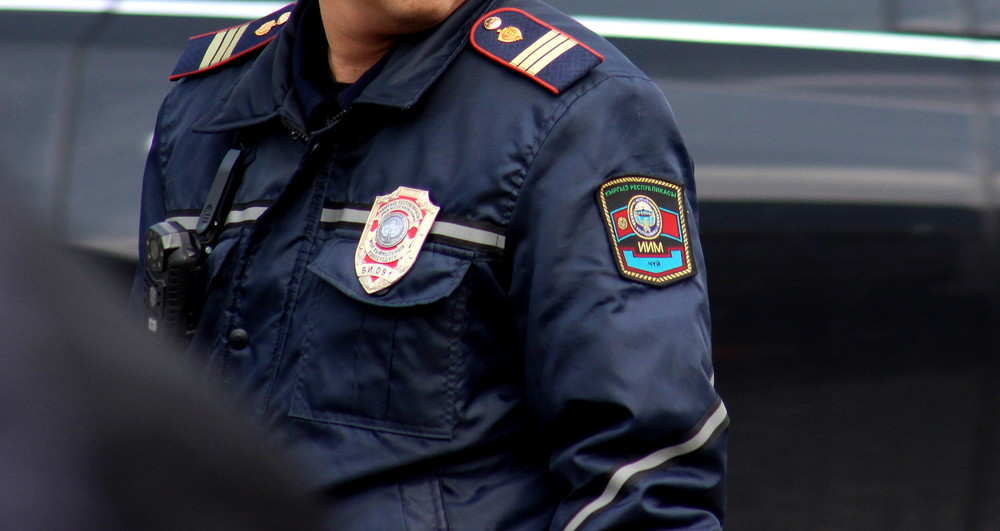 Иллюстрациялык сүрөт