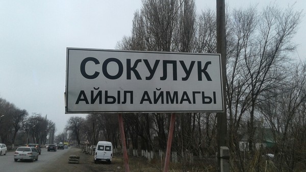 Иллюстрациялык сүрөт