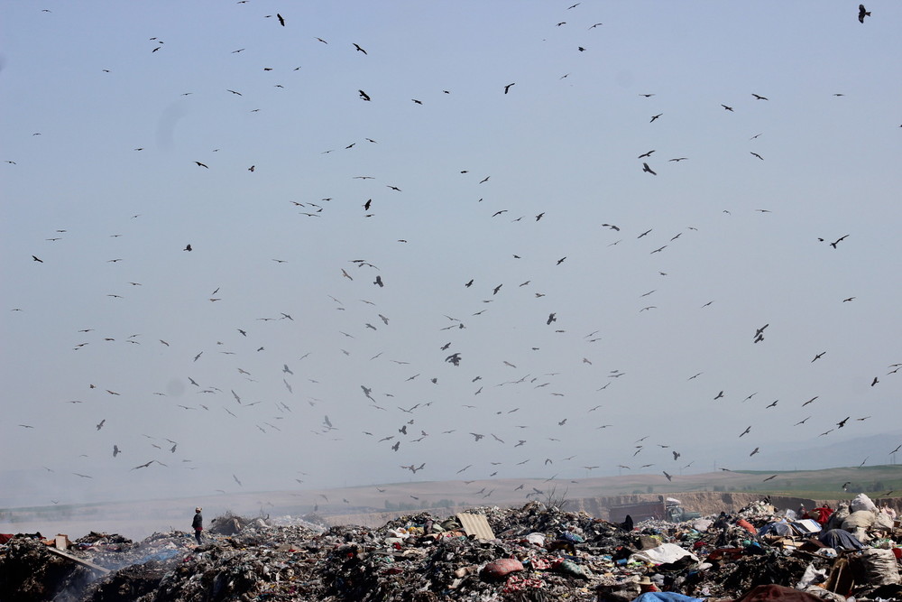 Иллюстрациялык сүрөт