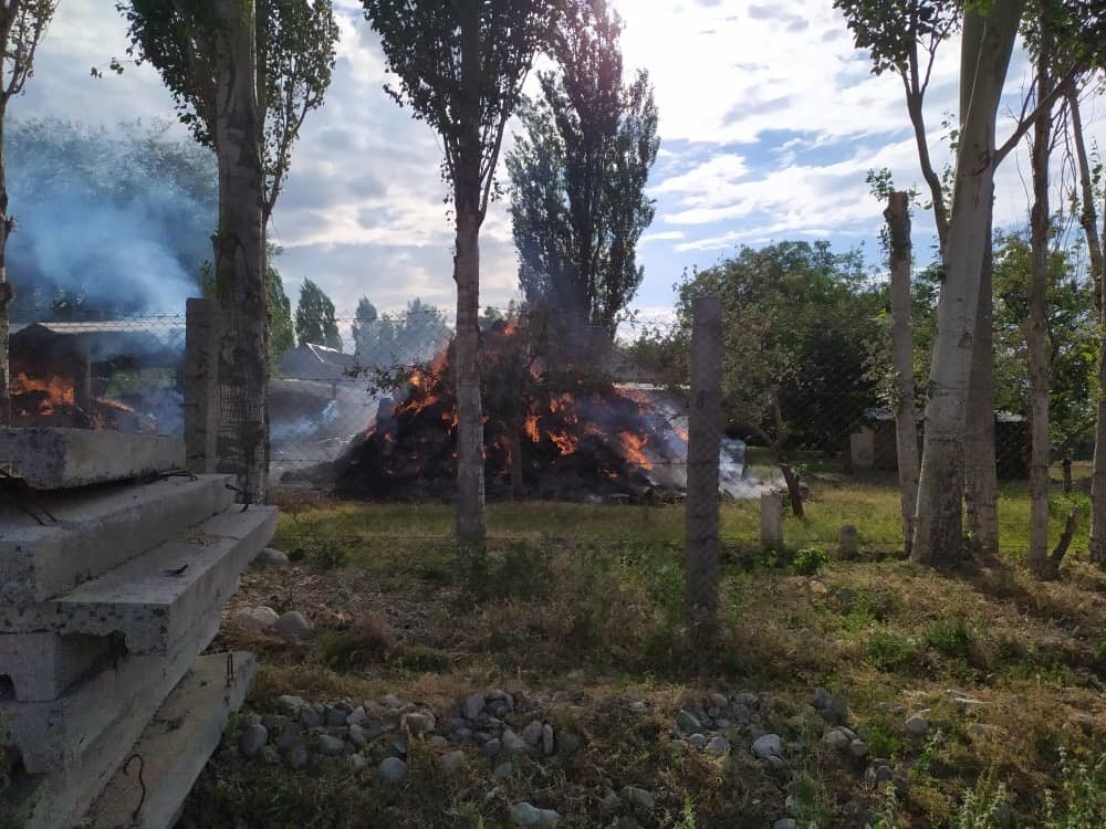 Орок айылындагы башаламандык