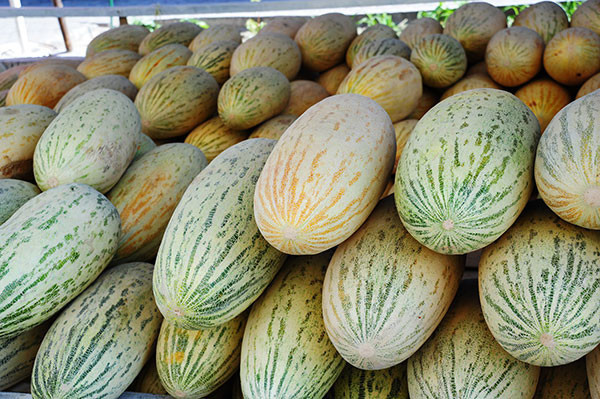 Иллюстрациялык сүрөт