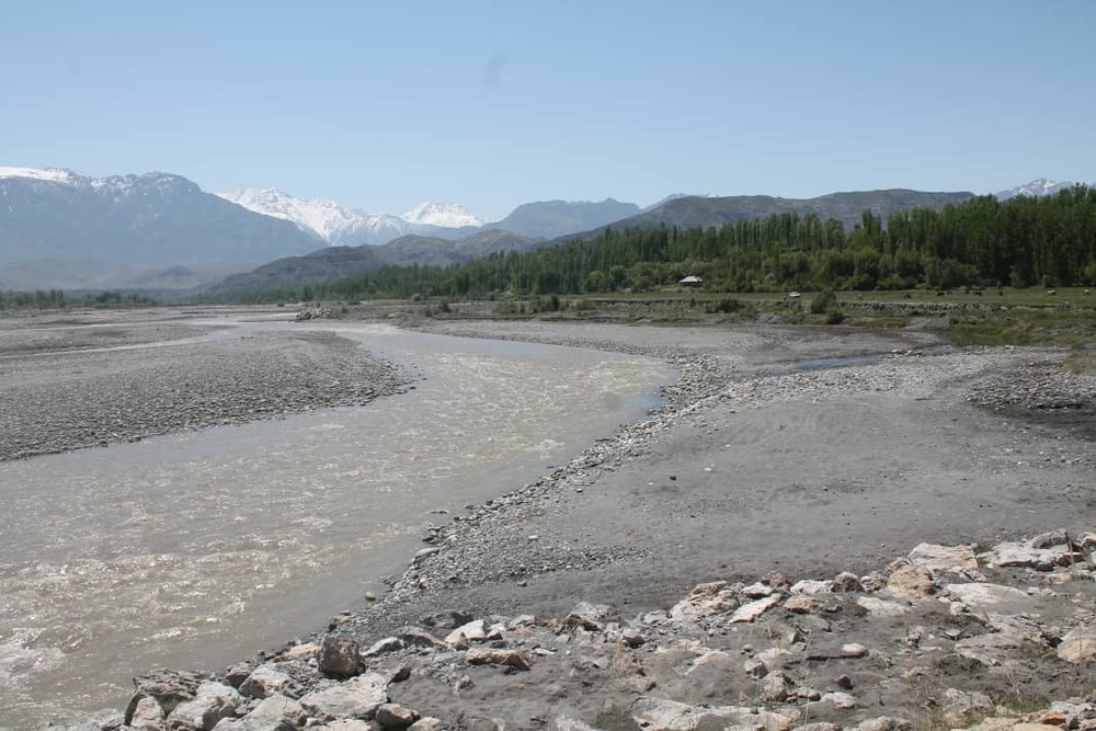 Иллюстрациялык сүрөт