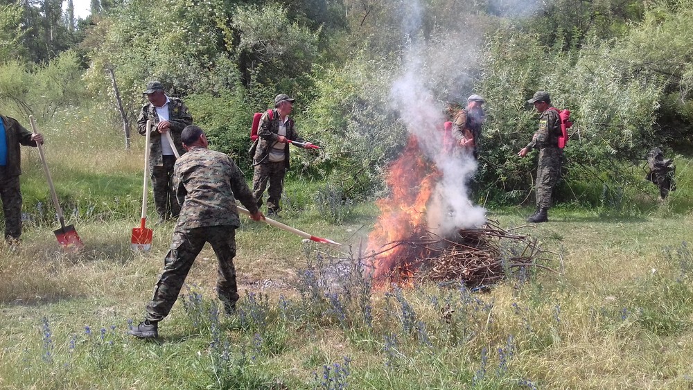 Иллюстрациялык сүрөт