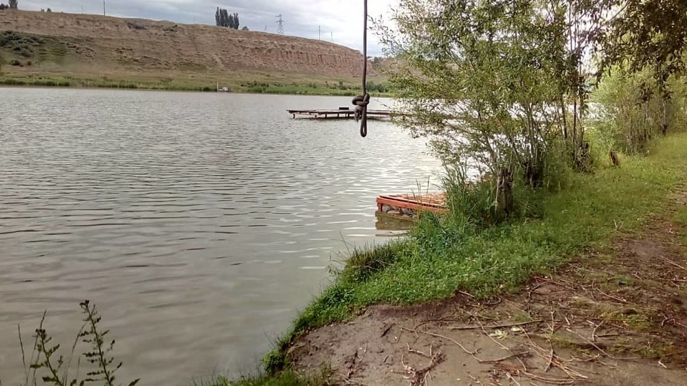 Иллюстрациялык сүрөт